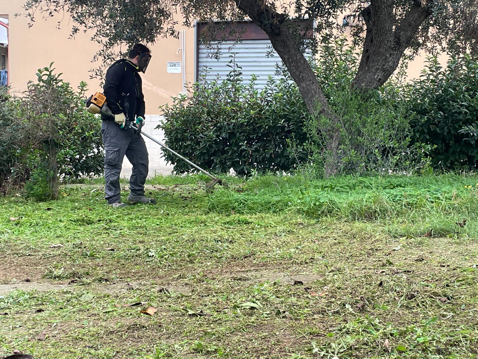 Attività pratica del corso manutentore del verde